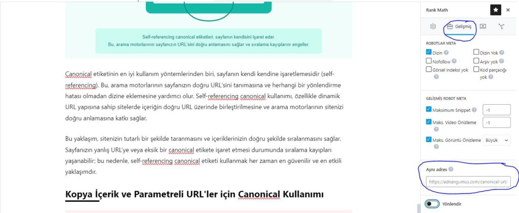 Canonical URL WordPress Rank Math SEO Adım 2