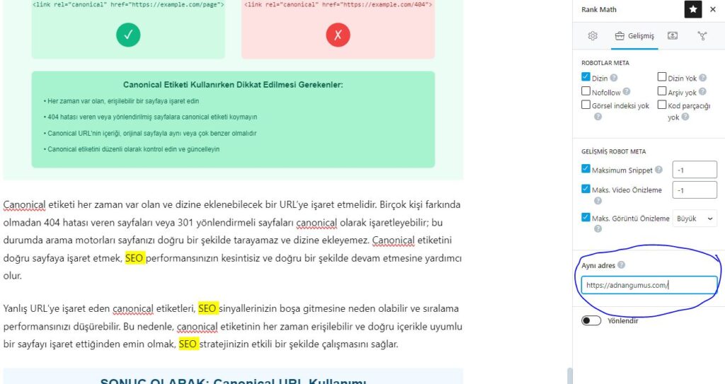 Canonical URL WordPress Rank Math SEO Adım 3
